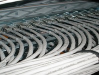 Picture-Taker-hhC4nt